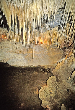 Stalactites, stalagmites and rimstone at Marakoopa Cave in Mole Creek Karst National Park, the north, Tasmania, Australia, Pacific