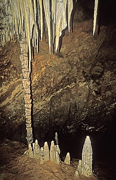 Stalactites, stalagmites and columns at King Solomon's Cave in the Mole Creek Karst National Park, the north, Tasmania, Australia, Pacific