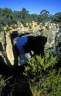 Tasmans Arch, one of the several coastal formations in Tasman National Park, Port Arthur region, Tasman Peninsula, south east, Tasmania, Australia, Pacific