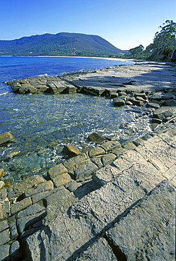 Tessellated Pavement, a wave-cut platform of horizontal strata, north of Pirates Bay, Forestier Peninsula, South East, Tasmania, Australia, Pacific