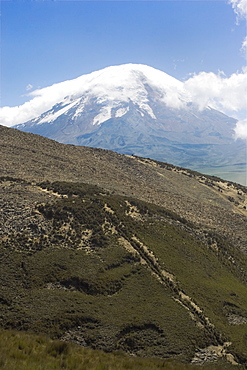 The west flank of 6310m Volcan Chimborazo, with its unique type of Andean high paramo (puna) made dry by the rain shadow, Chimborazo Province, Central Highlands, Ecuador, South America