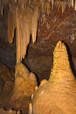 A variety of speleothems including stalactites, stalagmites, columns, straws and drapery at Ngilgi Cave, a limestone Karst cave system near Yallingup in the South West, Augusta-Margaret River Shire, Western Australia, Australia, Pacific