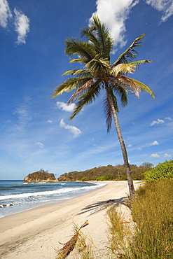 Playa Pelada, Nosara, Nicoya Peninsula, Guanacaste Province, Costa Rica, Central America