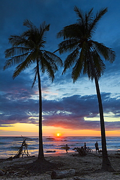 Surfer and palm trees at sunset on Playa Guiones surf beach at sunset, Nosara, Nicoya Peninsula, Guanacaste Province, Costa Rica