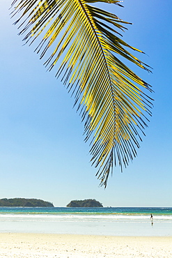 The white sand palm-fringed beach at this laid-back village & resort; Samara, Guanacaste Province, Nicoya Peninsula, Costa Rica, Central America