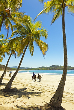 Horse riders on beautiful palm fringed Playa Carrillo, Carrillo, near Samara, Guanacaste Province, Nicoya Peninsula, Costa Rica, Central America