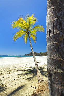 Beautiful palm fringed white sand Playa Carrillo, Carrillo, near Samara, Guanacaste Province, Nicoya Peninsula, Costa Rica, Central America