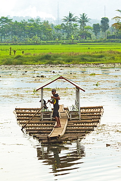 Man punting bamboo raft on Situ Cangkuang lake at this village known for its temple, Kampung Pulo, Garut, West Java, Indonesia, Southeast Asia, Asia