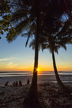 People by palm trees at sunset on Playa Hermosa beach, far south of the Nicoya Peninsula, Santa Teresa, Puntarenas, Costa Rica, Central America