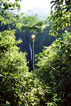 Rio Fortuna waterfalls on the slopes of Volcan Arenal, Alajuela Province, Costa Rica, Central America