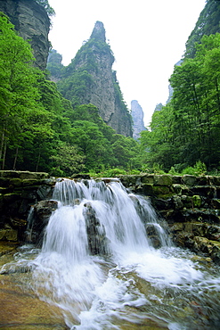 Small waterfall in spectacular limestone outcrops and forested valleys of Zhangjiajie Forest Park in Wulingyuan Scenic Area, UNESCO World Heritage Site, Hunan, China, Asia