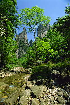 Limestones rock formations in forested valley, Hunan Province, China, Asia