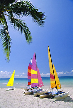 Sail boats on Chaweng Beach, east coast, Koh Samui (Ko Samui), Thailand