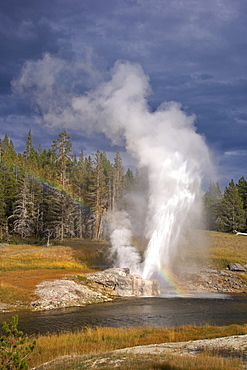 Riverside Geyser, Upper Geyser Basin, Yellowstone National Park, UNESCO World Heritage Site, Wyoming, United States of America, North America 