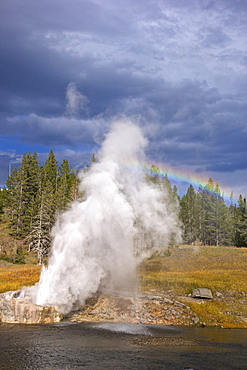 Riverside Geyser, Upper Geyser Basin, Yellowstone National Park, UNESCO World Heritage Site, Wyoming, United States of America, North America 