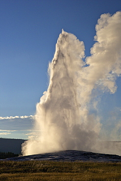 Old Faithful Geyser erupting, Yellowstone National Park, UNESCO World Heritage Site, Wyoming, United States of America, North America 