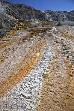 Mound Terrace, Mammoth Hot Springs, Yellowstone National Park, UNESCO World Heritage Site, Wyoming, United States of America, North America 