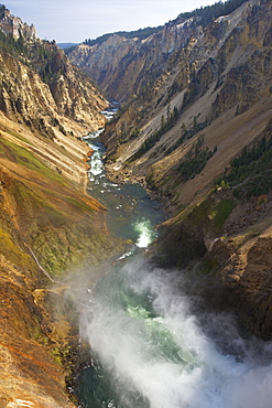 Brink of Lower Falls of Yellowstone River, Grand Canyon of the Yellowstone, Yellowstone National Park, UNESCO World Heritage Site, Wyoming, United States of America, North America 