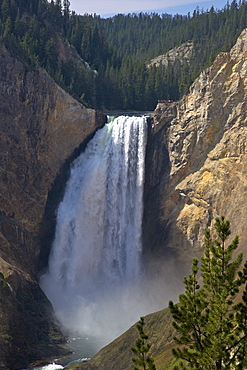 View of Lower Falls from Red Rock Point, Grand Canyon of the Yellowstone River, Yellowstone National Park, UNESCO World Heritage Site, Wyoming, United States of America, North America 