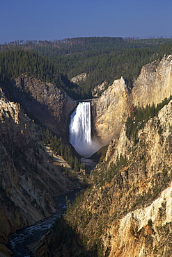 Lower Falls from Artists Point, Grand Canyon of the Yellowstone River, Yellowstone National Park, UNESCO World Heritage Site, Wyoming, United States of America, North America 