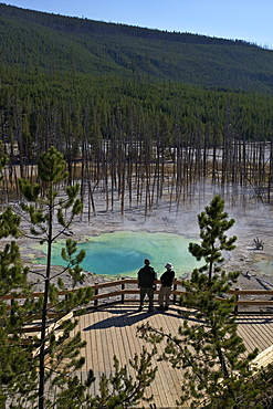 Visitors at Cistern Spring, Norris Geyser Basin, Yellowstone UNESCO World Heritage Site, Wyoming, United States of America, North America 