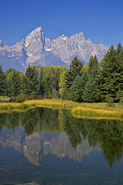 Snake River at the Schwabacher Landing, Grand Teton National Park, Wyoming, United States of America, North America 