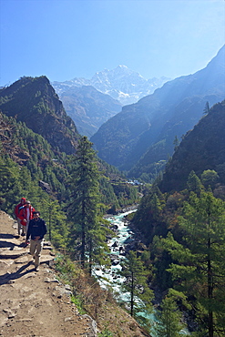 Trekkers on trail beside Dudh Koshi river, between Phakding and Namche, Chumoa, Everest Base Camp Trek, Solukhumbu, Nepal, Himalayas, Asia