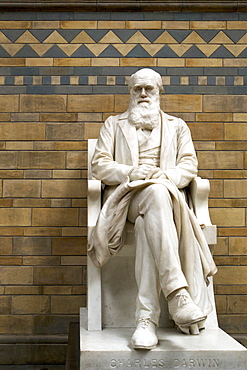 Statue of Charles Darwin, Natural History Museum, South Kensington, London, England, United Kingdom, Europe