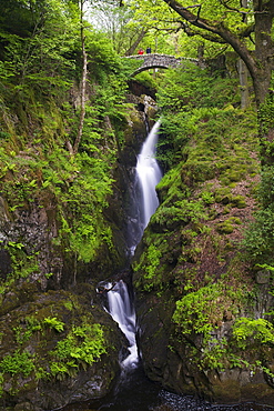 Aira Force, Ullswater, Lake District National Park, Cumbria, England, United Kingdom, Europe