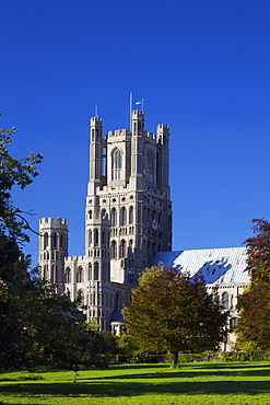 Ely Cathedral in late afternoon sunshine, Church of the Holy and Undivided Trinity, Ely, Cambridgeshire, England, United Kingdom, Europe