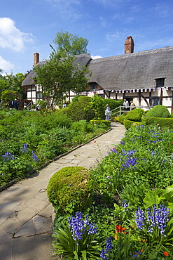 Anne Hathaway's Cottage, Shottery, Stratford-upon-Avon, Warwickshire, England, United Kingdom, Europe