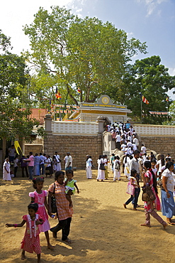 Buddhist pilgrims Sri Maha Bodhi, sacred bodhi tree planted in 249 BC, Unesco World Heritage Site, Anuradhapura, Sri Lanka, Asia