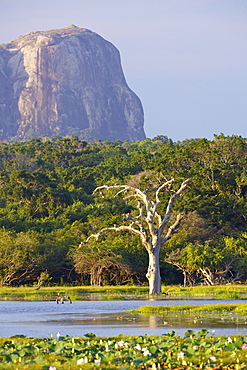 Lake and view of Elephant Rock in late afternoon, Yala National Park, Sri Lanka, Asia