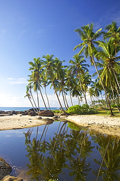 View of the unspoilt beach at Palm Paradise Cabanas, Tangalle, South coast, Sri Lanka, Asia