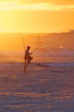 Stilt fisherman at Weligama, South Coast, Sri Lanka