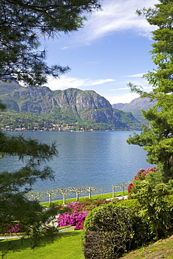 Gardens of Villa Melzi, Bellagio, Lake Como, Lombardy, Italian Lakes, Italy, Europe