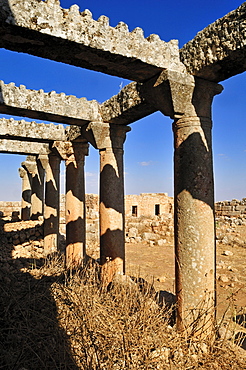 Byzantine ruin at the archeological site of Ruweiha, Dead Cities, Syria, Middle East, West Asia