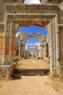 Ruin of Saint Simeon Monastery, Qala'at Samaan, Qalaat Seman archeological site, Dead Cities, Syria, Middle East, West Asia