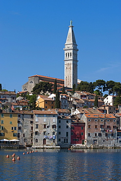 Old town with Sv. Eufemia church, Rovinj, Istria, Croatia, Europe