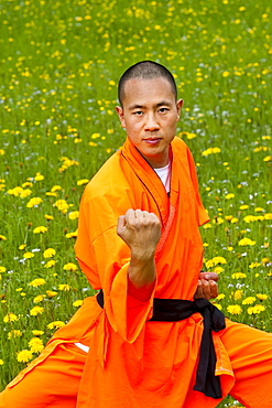 Shaolin monk