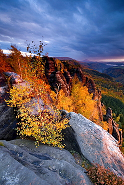 Schrammsteine rock formation in autumn in the evening light, Saxon Switzerland, Saxony, Germany, Europa