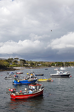 Fishing boats, dock in Skull, Schull, Mizen Head Peninsula, West Cork, Republic of Ireland, British Isles, Europe