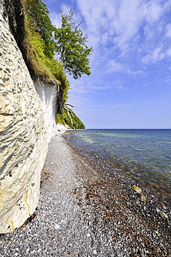 Gravel beach and chalk cliffs on the Baltic Sea, Nationalpark Jasmund national park, Ruegen island, Mecklenburg-Western Pomerania, Germany Europe