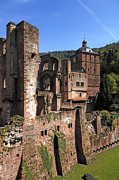 Heidelberg Castle ruins, destroyed in 1689, detail of the ruins of the library building, to the right, the gate tower, as seen from Stueck-garden, Schlosshof, Heidelberg, Baden-Wuerttemberg, Germany, Europe