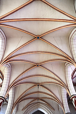 Gothic cross vault of the St.-Jacobi-Kirche church, completed in 1383, Jacobikirchhof 2, Goettingen, Lower Saxony, Germany, Europe