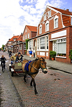 Horse and cart, Juist, Lower Saxony, Germany, Europe