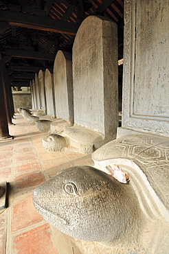 Steles on stone turtles, Temple of Literature, Van Mieu, Hanoi, Vietnam, Southeast Asia