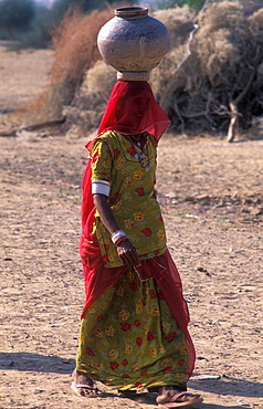 Young woman in sari with water jug, Thar Desert, Rajasthan, India, Asia