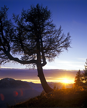 Evening light on Loser Mountain, Salzkammergut, Ausseer Land, Styria, Austria, Europe