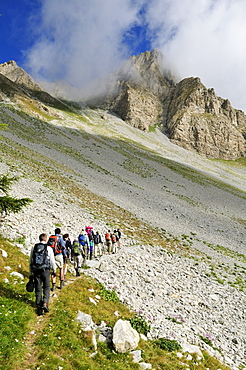 Hiking, trekking group on an alpine trail in Mercantour National Park, Haute Verdon mountains, Alpes de Haute Provence, France, Europe